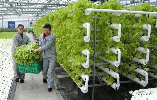 &#29699;&#36895;&#20307;&#32946;&#24179;&#21488;&#45;&#29699;&#36895;&#65288;&#20013;&#22269;&#65289;