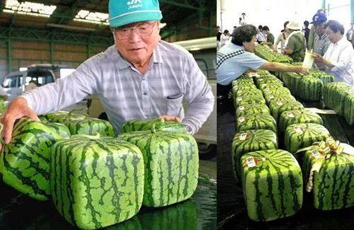 &#29699;&#36895;&#20307;&#32946;&#24179;&#21488;&#45;&#29699;&#36895;&#65288;&#20013;&#22269;&#65289;