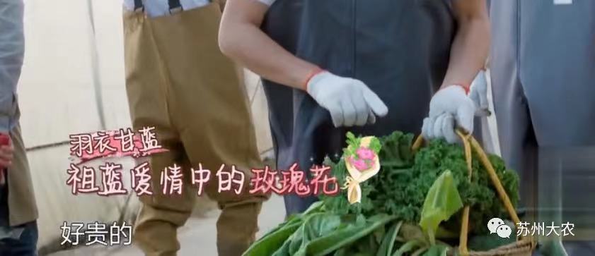 &#29699;&#36895;&#20307;&#32946;&#24179;&#21488;&#45;&#29699;&#36895;&#65288;&#20013;&#22269;&#65289;